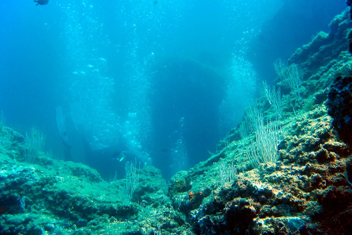 Diving in Insel Ischia