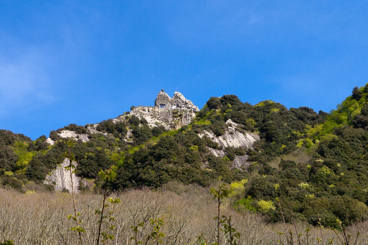 Ischia, der Grüne Insel