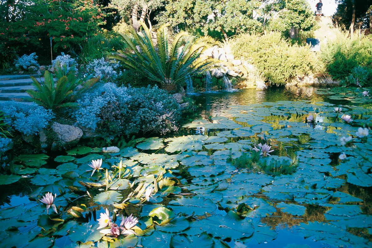 Ischia, der Grüne Insel