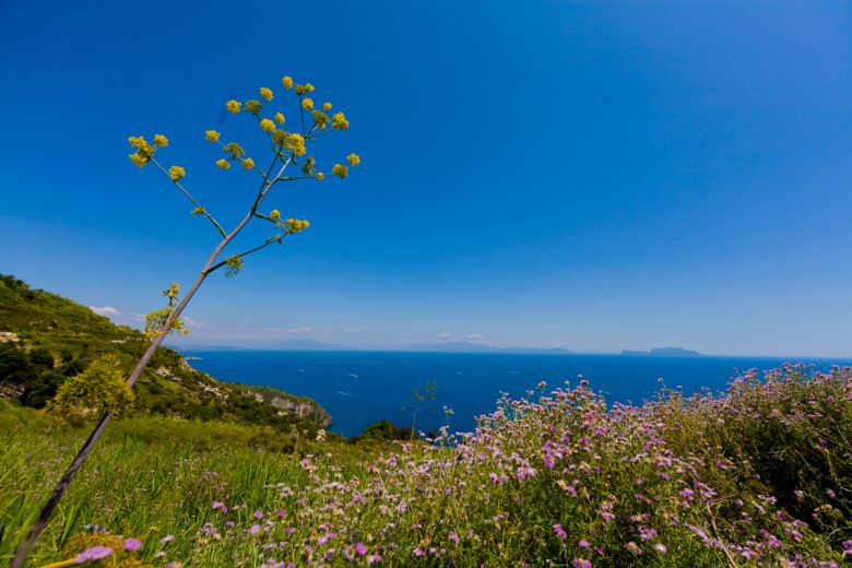 Benvenuto Maggio a Ischia