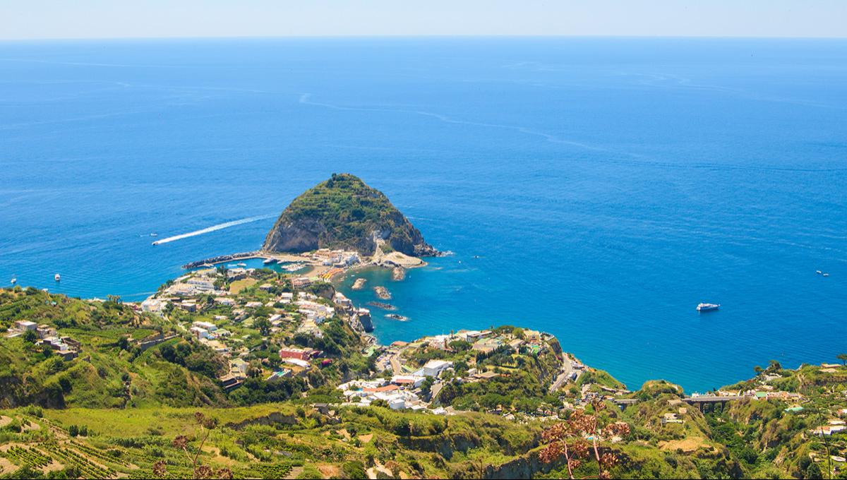 Vista panoramica di un promontorio verde sul mare blu con barche in lontananza.