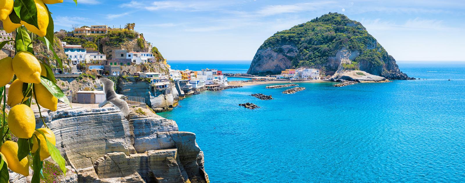 Panorama costiero con limoni, case colorate e mare azzurro, isola in lontananza.