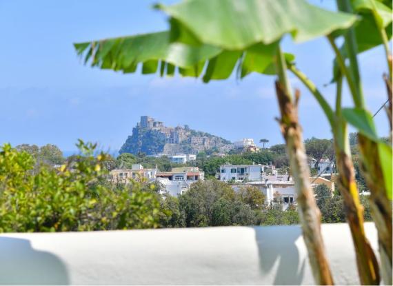 Vista di un castello su una collina, circondato da vegetazione e case.