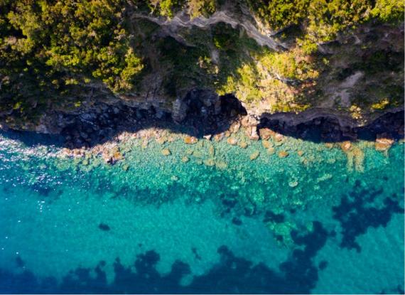 Vista aerea di una costa rocciosa con acqua cristallina e vegetazione rigogliosa.